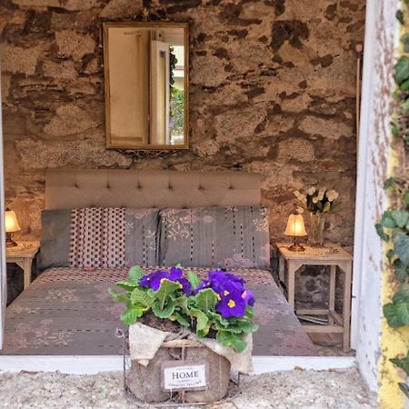 The Cottage San Maurizio D'opaglio Exteriér fotografie